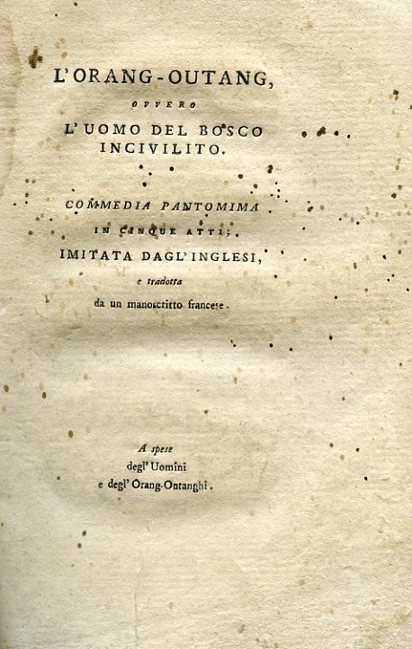 L' Orang - Outang ovvero L' uomo del bosco incivilito. …