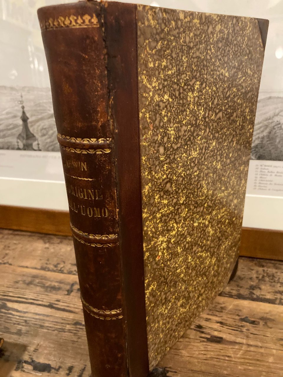 L' Origine dell' Uomo e la scelta in rapporto col …