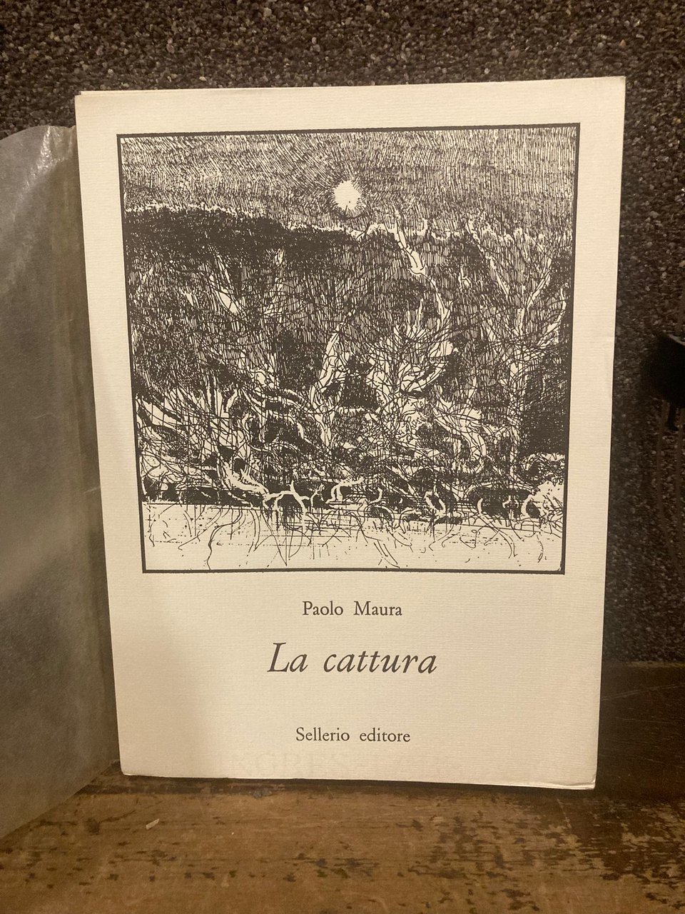 La cattura. A cura di Giuseppe Bonaviri