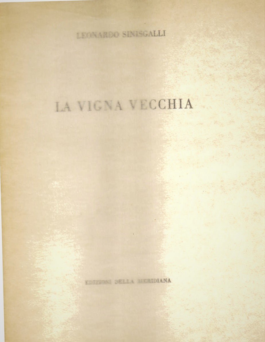 La vigna vecchia
