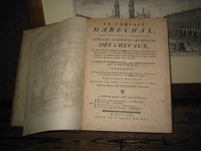 Le Parfait Maréchal, qui enseigne à connoître la beauté, la …