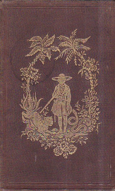 Les Portugais d' Amérique. Souvenirs historiques de la guerre du …