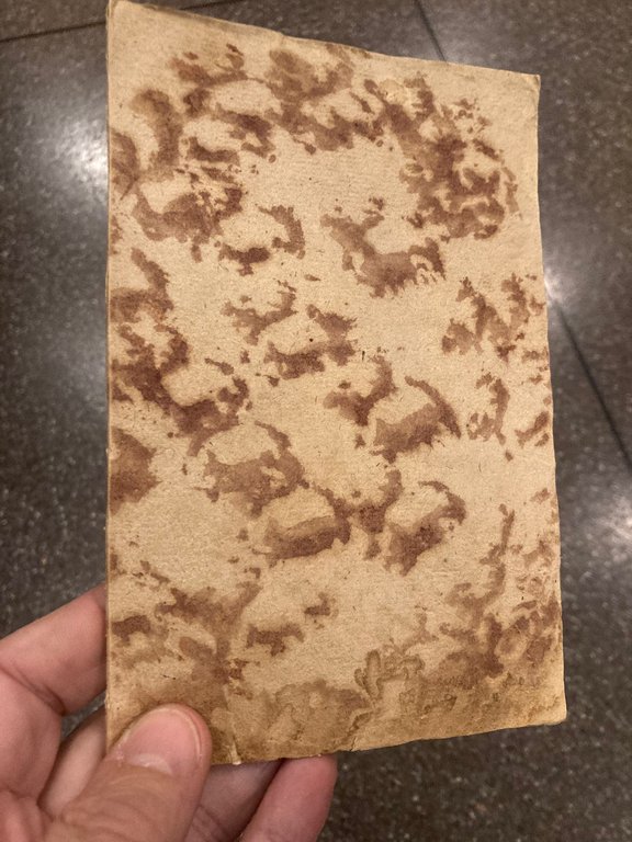 Lettera Fisico - Medica indirizzata al Sig. Cavaliere D. Alessandro … | Immagine Gallery 2