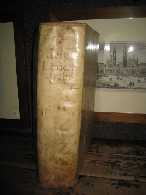 Lexicon Arabico - Latinum, contextum ex probatioribus Orientis lexicographis. Accedit …