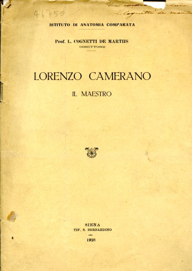 Lorenzo Camerano. Il Maestro