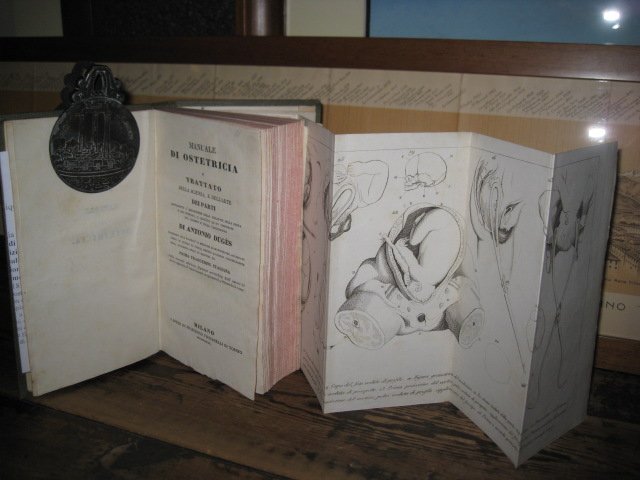 Manuale di ostetricia o trattato della scienza, e dell' arte …