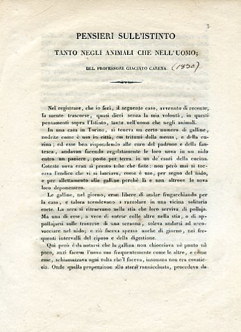 Pensieri sull'istinto tanto negli animali che nell'uomo | Immagine principale