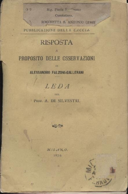 Risposta a proposito delle osservazioni di Alessandro Falzoni - Gallerani. …