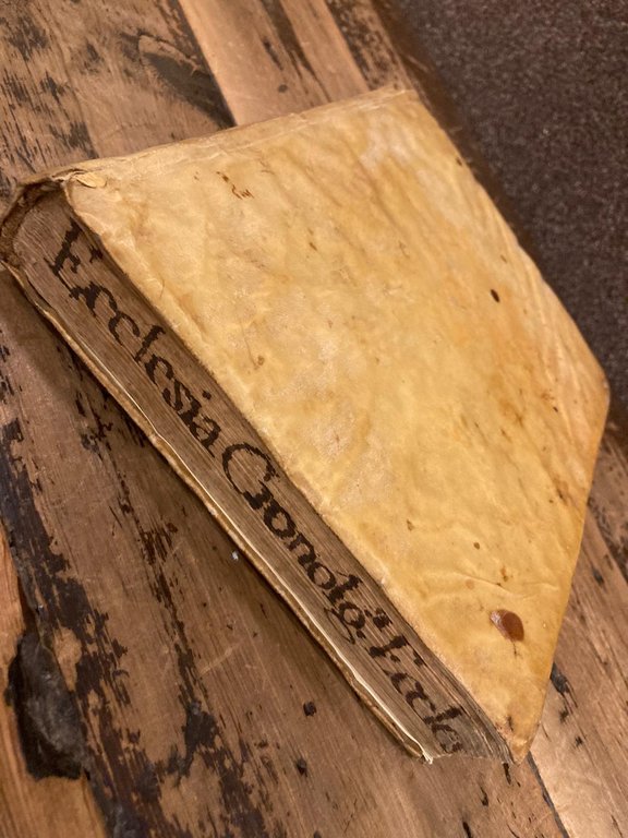 S.R.E. Cardinalium, Archiepiscoporum, Episcoporum, et Abbatum Pedemontane regionis Chronologica Historia … | Immagine Gallery 1