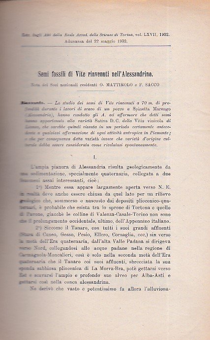 Semi fossili di vite rinvenuti nell'Alessandrino. Nota. Estr. dagli Atti …