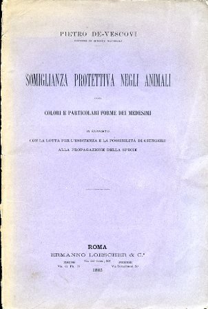 Somiglianza protettiva negli animali ossia colori e particolari forme dei …