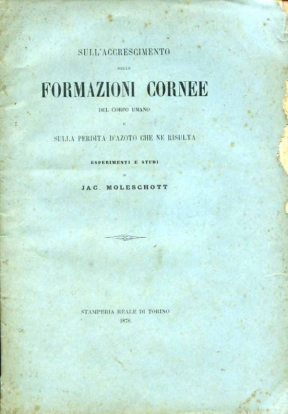 Sull'accrescimento delle formazioni cornee del corpo umano e sulla perdita … | Immagine principale