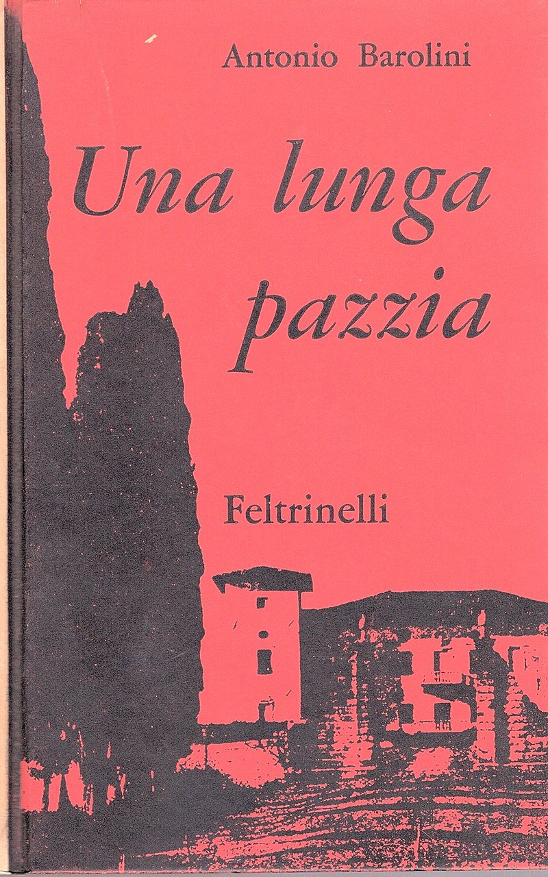 Una lunga pazzia