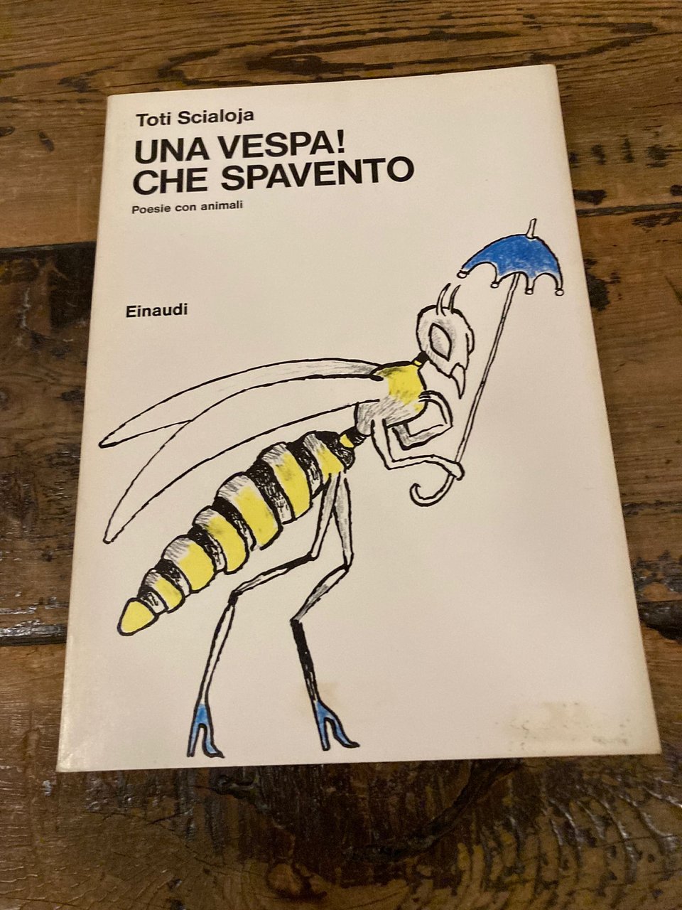 Una vespa! Che spavento. Poesie con animali. Illustrazioni dell'autore
