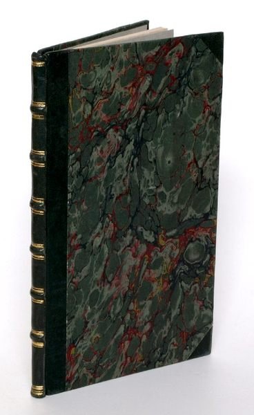 Die Katastrophe in Ungarn. Originalbericht.