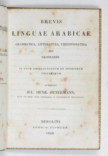 Brevis linguae Arabicae grammatica, litteratura, chrestomathia cum glossario.