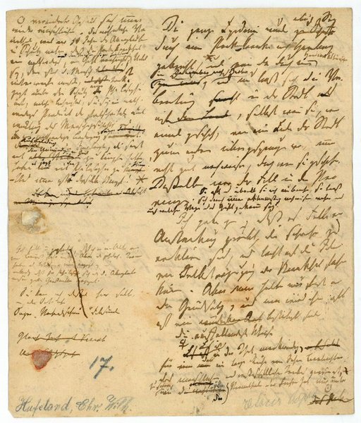 Autograph manuscript (fragment).