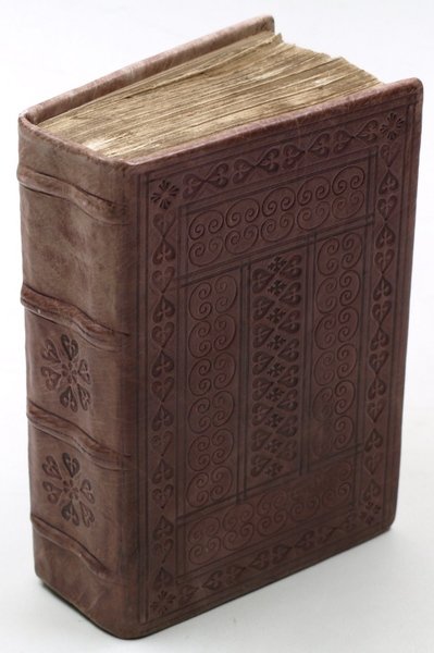 Dictionarium hebraicum.