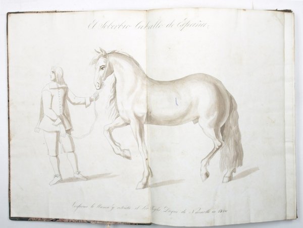 Memoria sobre la cría caballar de España: causas del aniquilamiento …