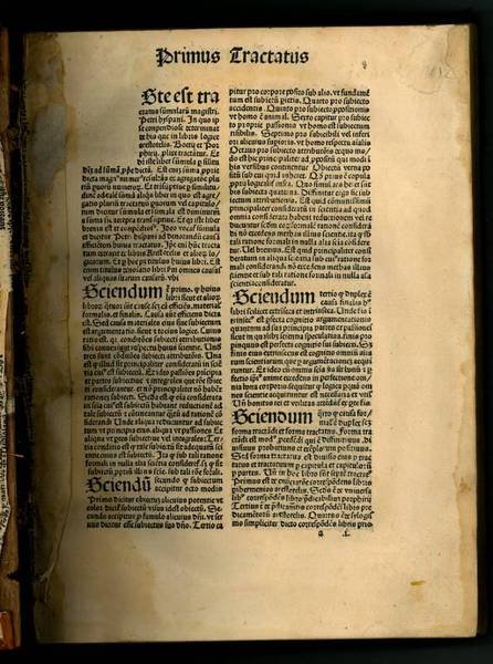 Dicta super septem tractatus summularum Petri Hispani cum textu.