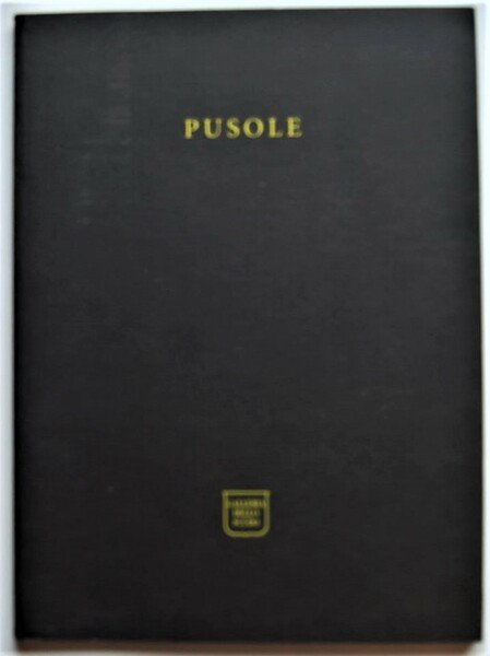 PUSOLE. STANDARD. OPERE 2002.