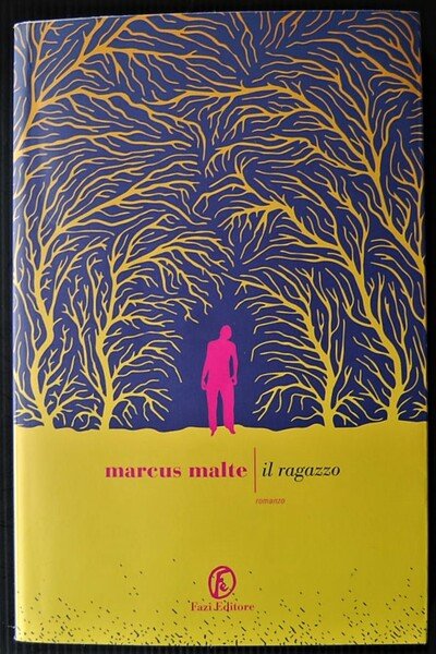 IL RAGAZZO.