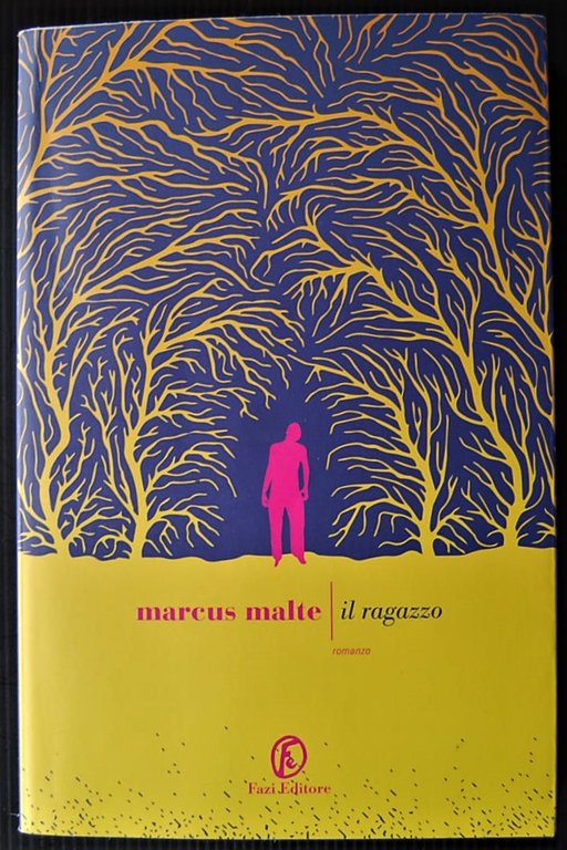 IL RAGAZZO.