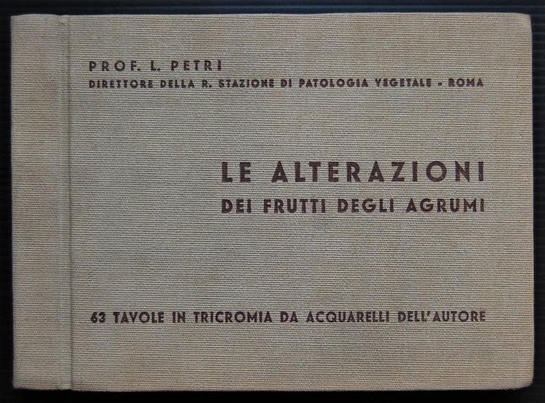 LE ALTERAZIONI DEI FRUTTI DEGLI AGRUMI.