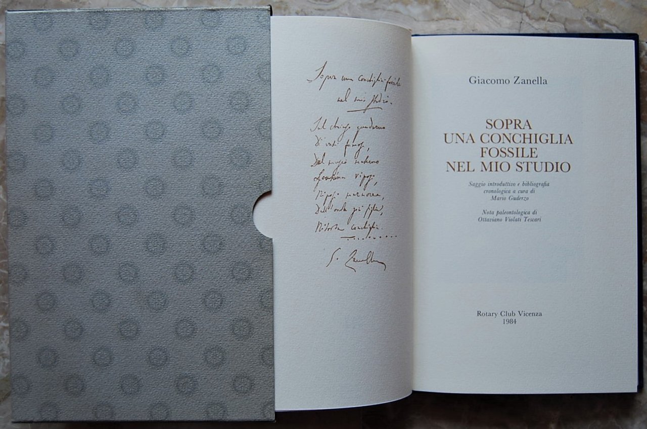 SOPRA UNA CONCHIGLIA FOSSILE NEL MIO STUDIO.