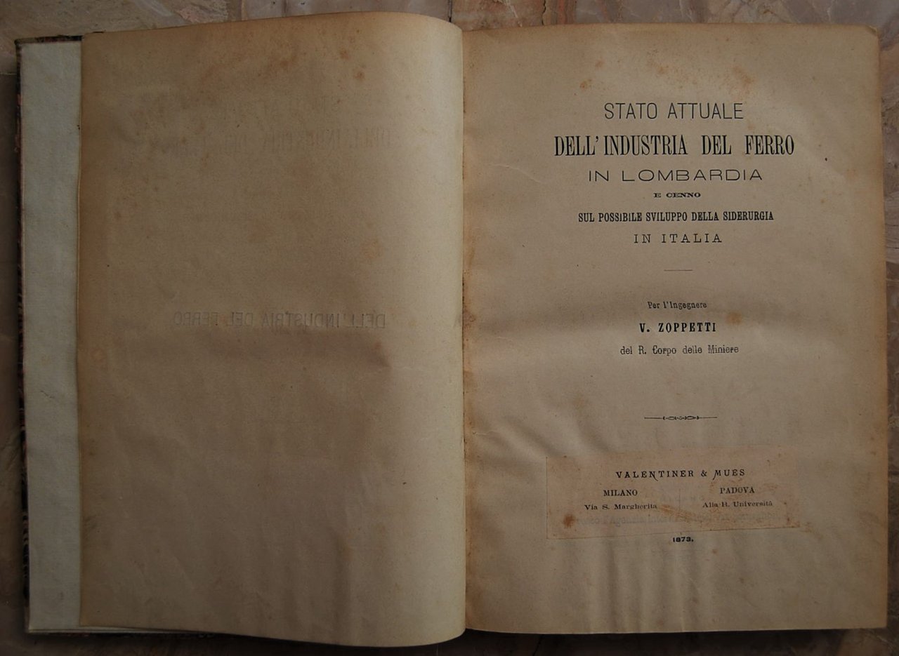 STATO ATTUALE DELL'INDUSTRIA DEL FERRO IN LOMBARDIA E CENNO SUL …