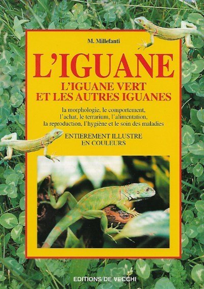 L'Iguane - L'Iguane Vert et Les Autres Iguanes : La …