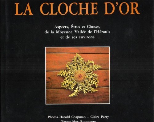 La Cloche D'or : Aspects , Êtres et Choses De …