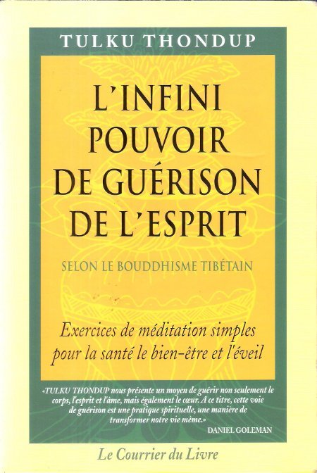 L'Infini Pouvoir de Guérison de L'Esprit selon le Bouddhisme Tibétain …