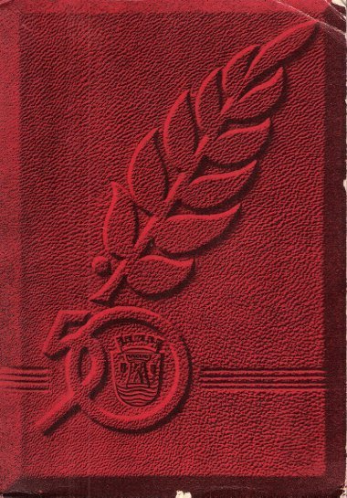 Livre Du Cinquantenaire de La Ville d'Esch sur-Alzette ( Grand-Duché …