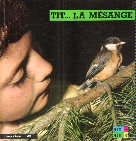 TIT . la mésange