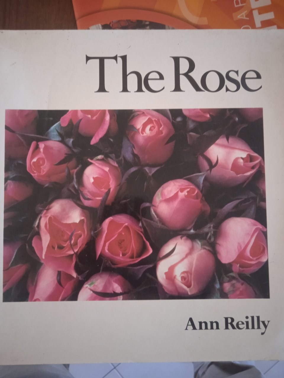 The rose