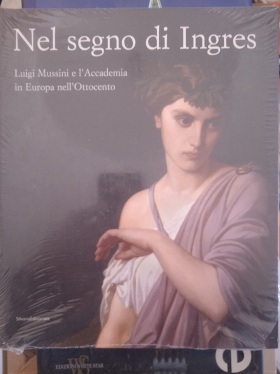 nel segno di ingres luigi mussini e l'accademia in europa …