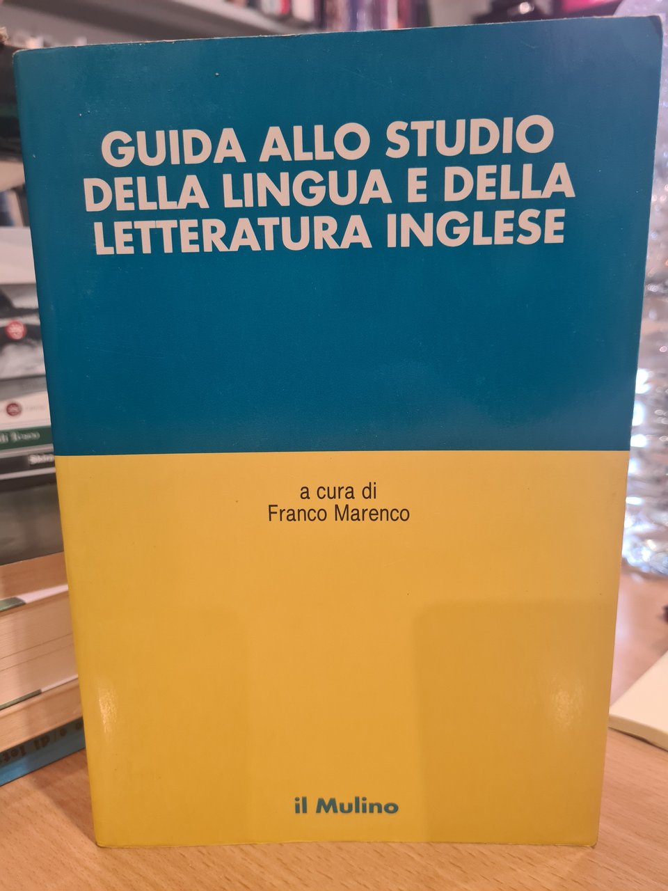 Guida allo studio della lingua e della letteratura inglese