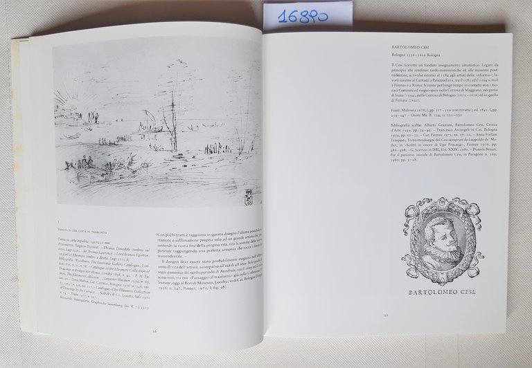 Disegni di artisti bolognesi dal Seicento all'Ottocento Bologna 1983
