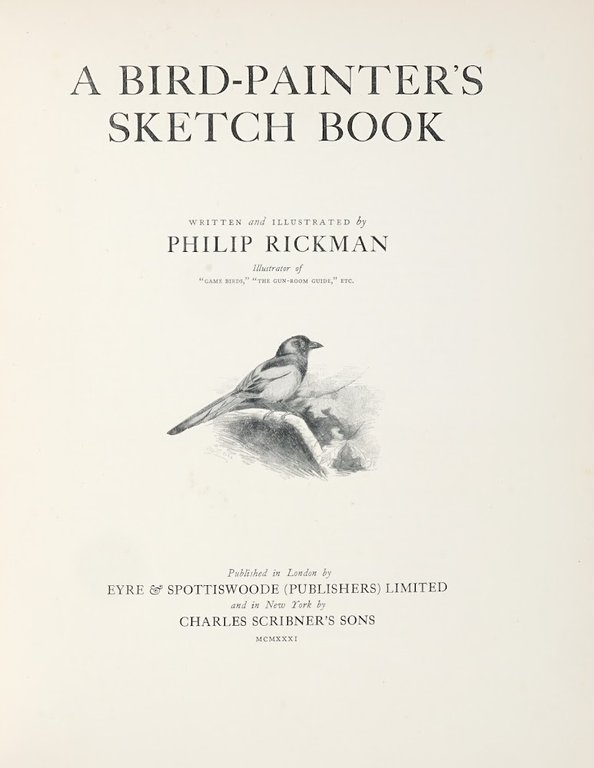 A bird painter's sketch book