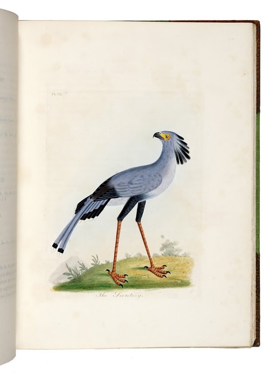 A General History of Birds. Vol. I [-X]