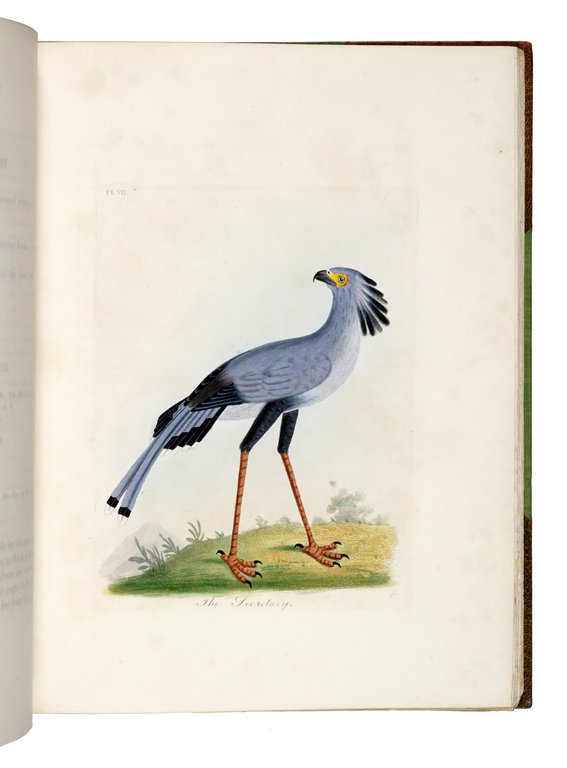 A General History of Birds. Vol. I [-X]