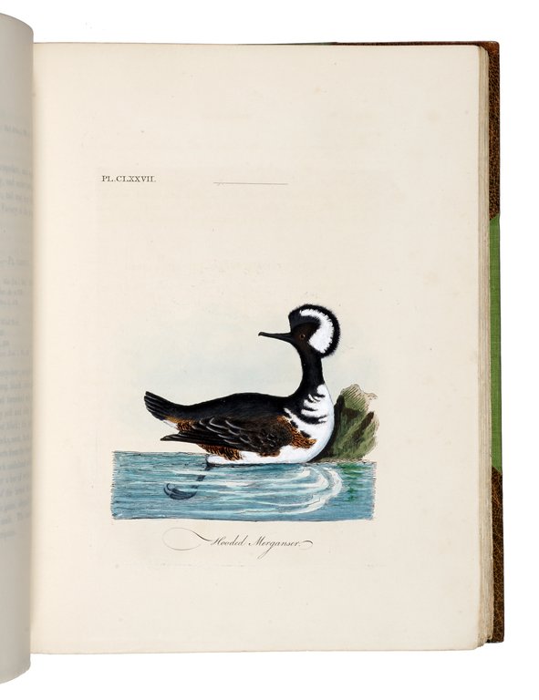 A General History of Birds. Vol. I [-X]
