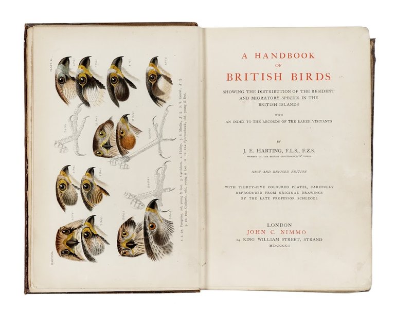 A Handbook of British Birds. Showing the distribution of the …