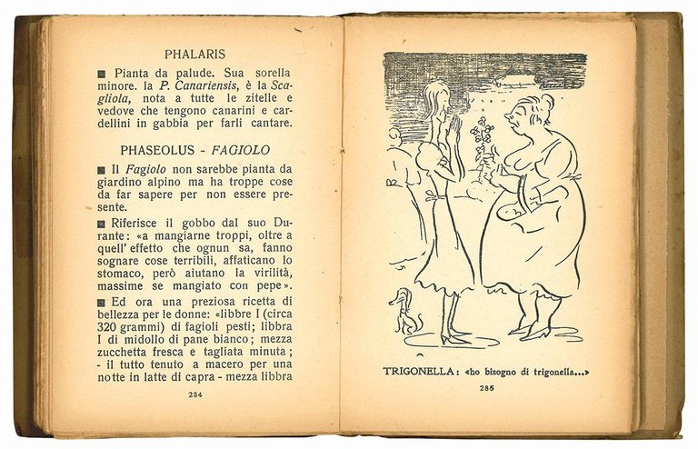 Alpinia intimo di I. Ambrosini disegni di F. Vellan.