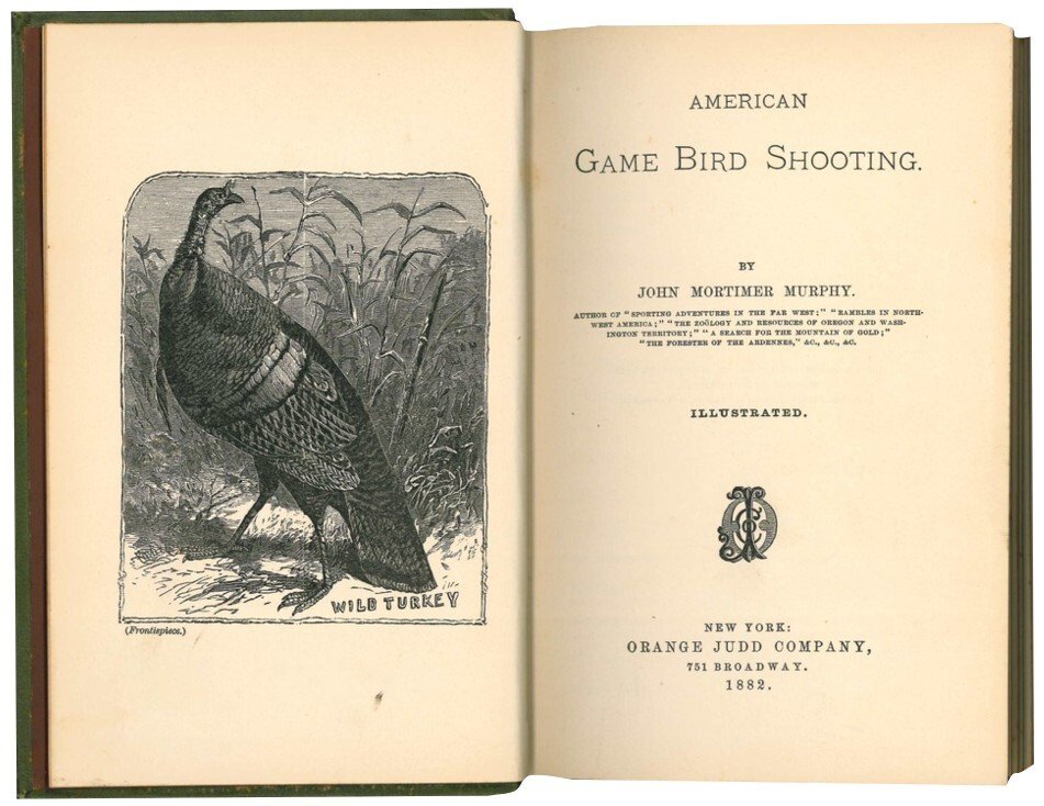American game bird shooting.