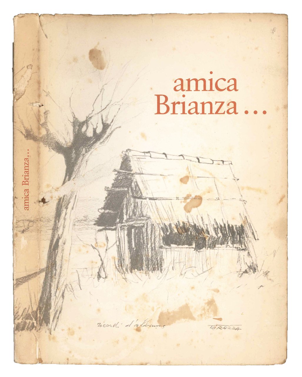 Amica Brianza... Raccolta di poesie. | Immagine principale