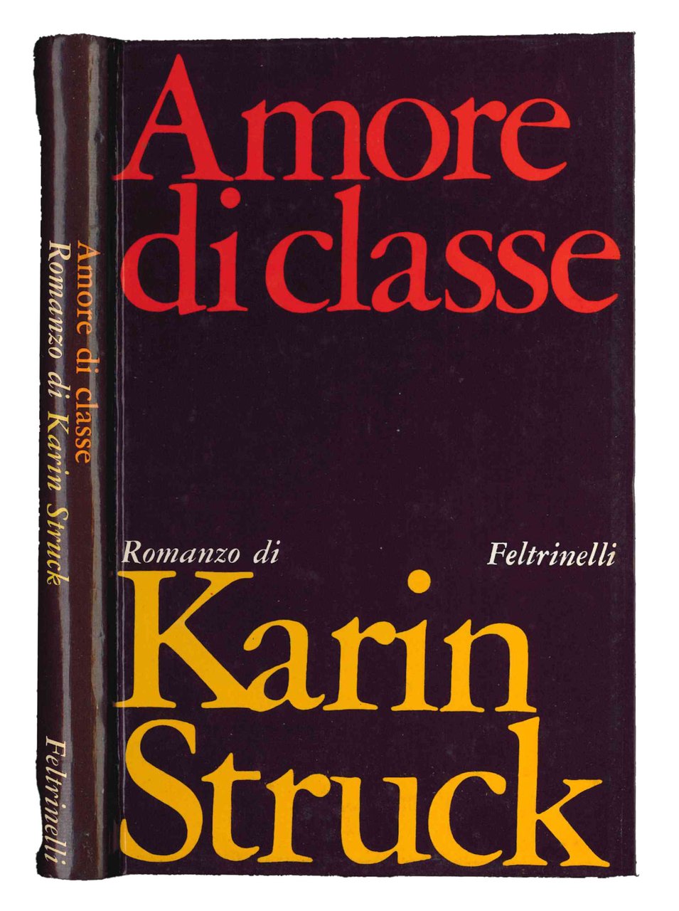 Amore di classe. Romanzo. | Immagine principale