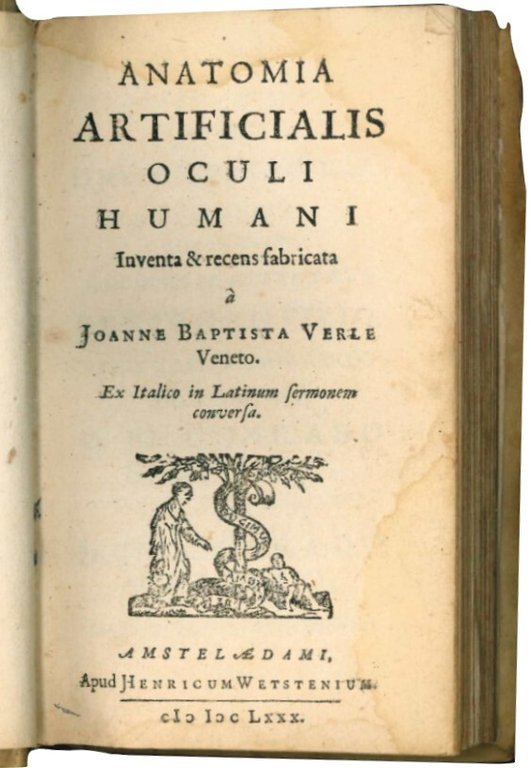 Anatomia artificialis oculi humani. Inventa & recens fabricata à Joanne …