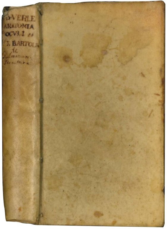 Anatomia artificialis oculi humani. Inventa & recens fabricata à Joanne …
